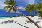 aaaVeee Natures Paradise